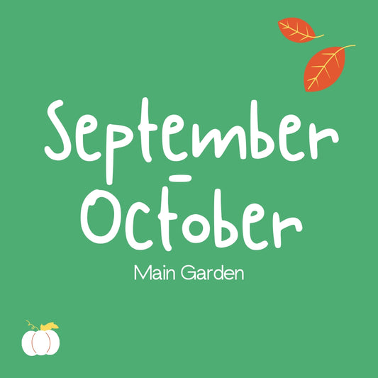 Autumn Term (Main Garden)